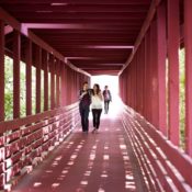 New mentoring program helps students transition into college life