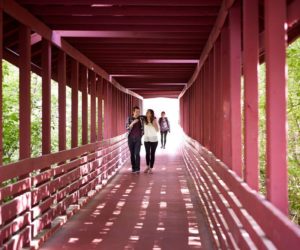 New mentoring program helps students transition into college life