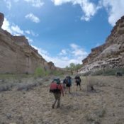 Experience the outdoors in November