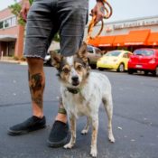 The community’s “Best Friends”