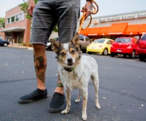 The community’s “Best Friends”