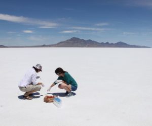 Professor searches for ancient life forms in Salt Flats