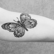 Tattoo perceptions on campus