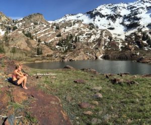 Gap year, grad school or VW bus?