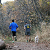 Stressed for tests? Study shows exercising could help