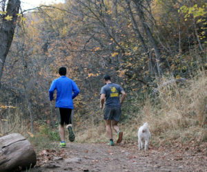 Stressed for tests? Study shows exercising could help