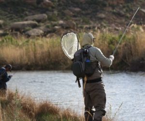 Water distribution issues across the state impact recreationalists and the environment