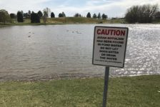 Sugar House Park plans to go forward with dredging project after animals have become sick and died