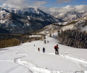 The Forum’s guide to taking your education outside