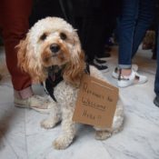 Westminster professors and students protest in support of Salt Lake refugees