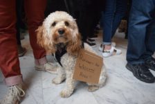 Westminster professors and students protest in support of Salt Lake refugees