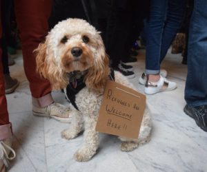 Westminster professors and students protest in support of Salt Lake refugees