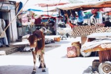 Post-election reflections on my trip to Afghanistan