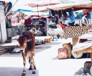 Post-election reflections on my trip to Afghanistan