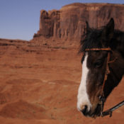 Students explore Hopi/Diné culture in Northern Arizona and Southern Utah