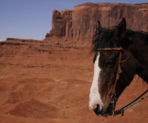 Students explore Hopi/Diné culture in Northern Arizona and Southern Utah