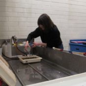 Students in Westminster’s fine arts-based photography program say it offers them a unique, competitive education