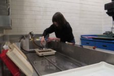 Students in Westminster’s fine arts-based photography program say it offers them a unique, competitive education