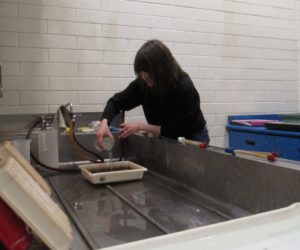 Students in Westminster’s fine arts-based photography program say it offers them a unique, competitive education