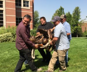 Westminster’s shrinking maintenance team struggles to keep up with demand