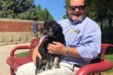 Do’s and don’ts: dog policies at Westminster