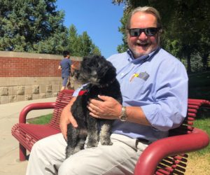 Do’s and don’ts: dog policies at Westminster