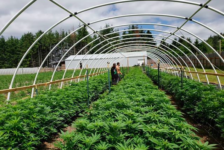 Prop. 2 divides Utah voters, Westminster community