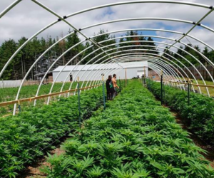 Prop. 2 divides Utah voters, Westminster community