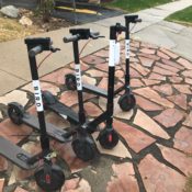 Bird is the word: e-scooters bring safety concerns, economic opportunities to Westminster