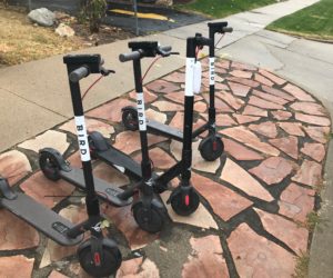 Bird is the word: e-scooters bring safety concerns, economic opportunities to Westminster