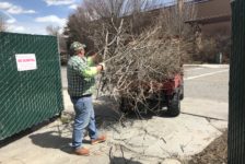 Meet the man who helps Westminster bloom