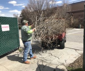 Meet the man who helps Westminster bloom