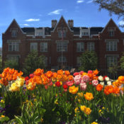 Liberal arts versus Ivy League: find what fits you best, according to administrators