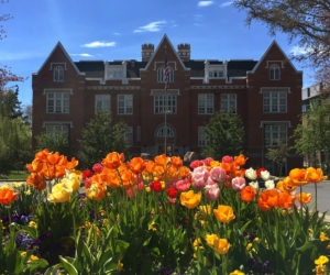 15 news stories that don’t even mention COVID-19 or coronavirus