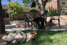 WATCH: The interim dog policy isn’t the end of a “dog-friendly” campus, says administration