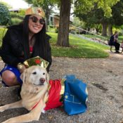 Dogs connect the campus community at Westminster Mutt Show
