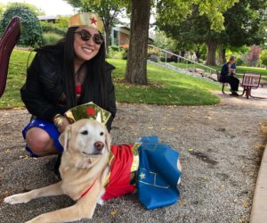 Dogs connect the campus community at Westminster Mutt Show