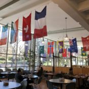 Westminster urges DHS to abandon proposed time limits for international students