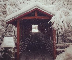 Letter to the Editor: An Alum’s Response to Westminster’s Tuition Hike