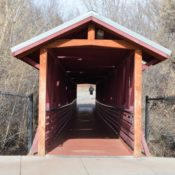 ASW Election Guide: Candidates begin campaigning under rules and guidelines