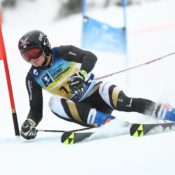 All athletics postponed; NCAA championships canceled