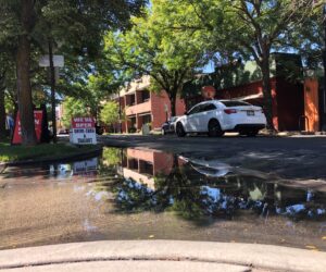 Local construction postponed so small businesses can ‘rebuild’