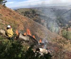 West Coast fires affect Utahns emotionally, worsen air quality