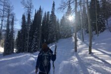 How to combat pandemic fatigue as winter holidays draw near