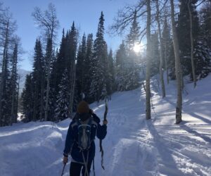 How to combat pandemic fatigue as winter holidays draw near