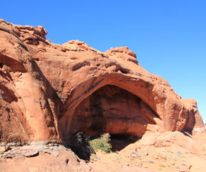 Students express mixed feelings about removal of Fall break