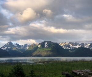 Westminster students look beyond nine-to-five lifestyle post graduation