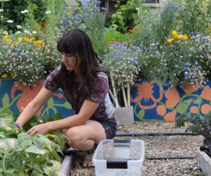 Students return to regular workdays in organic garden, give back to community