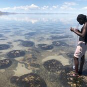 Utah drought concerns Westminster community