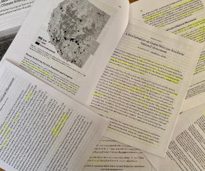 Bears Ears and Grand Staircase-Escalante restoration continues conversation surrounding land use